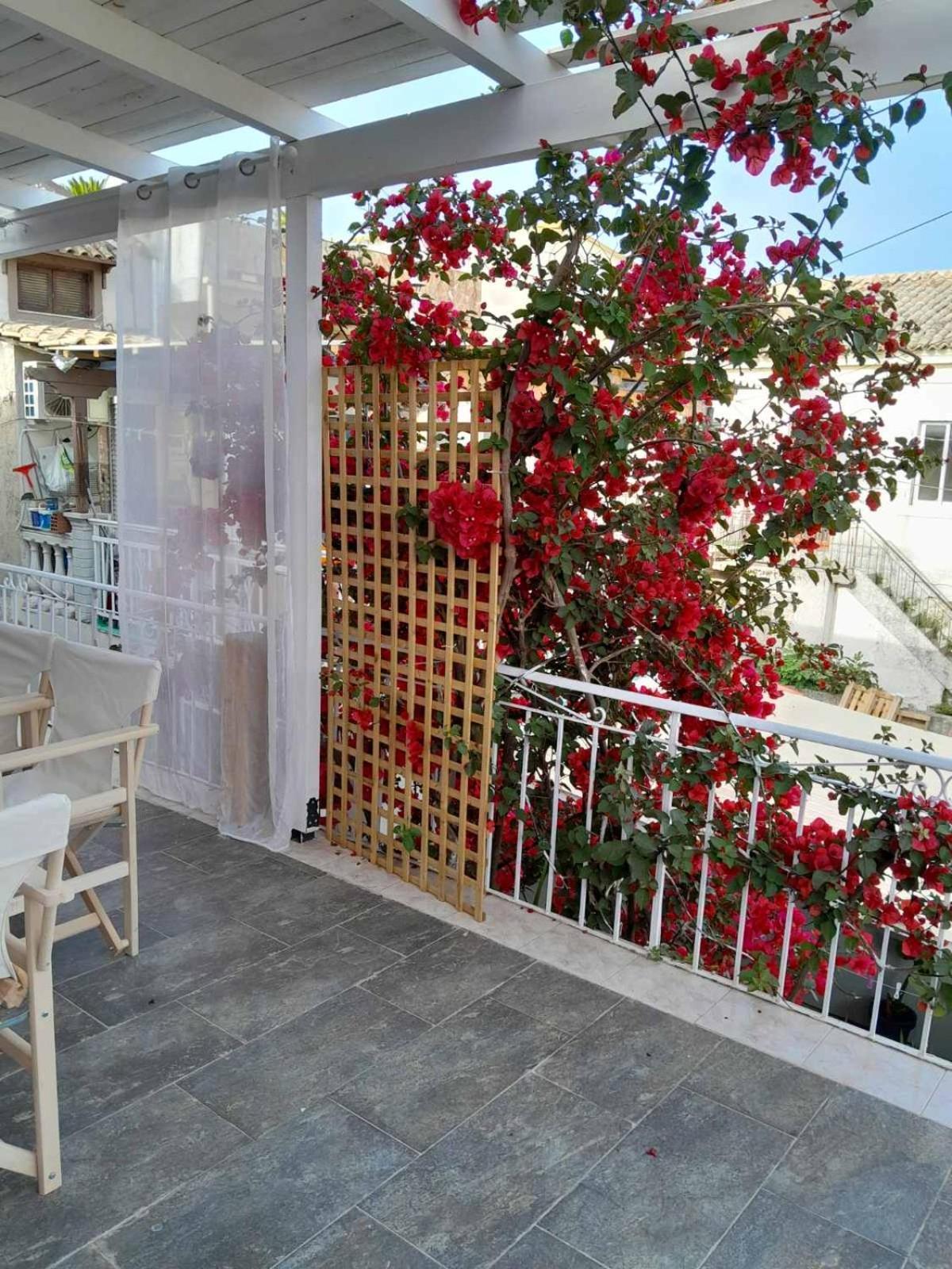 Archontissa Sea View House Διαμέρισμα Μεσογγή Εξωτερικό φωτογραφία